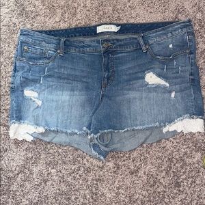 Torrid Jean shorts